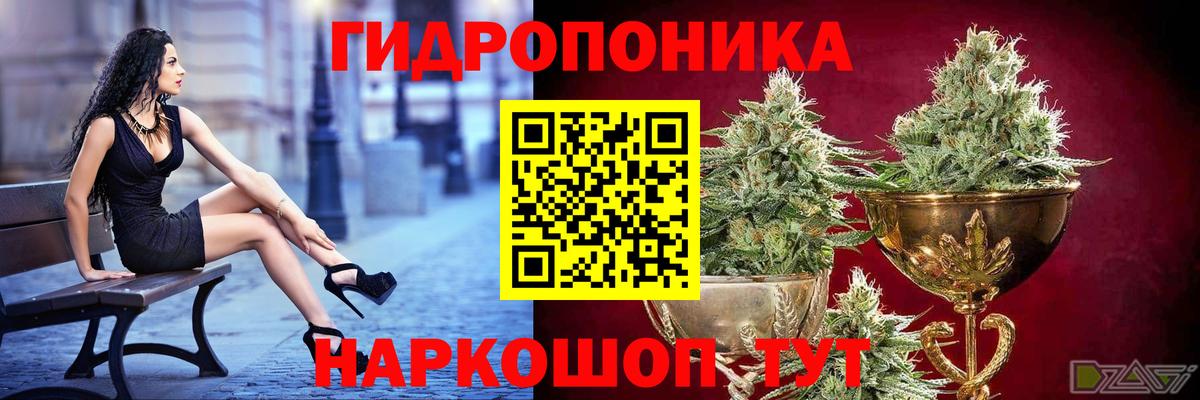 Бошки Шишки сатива Чайковский